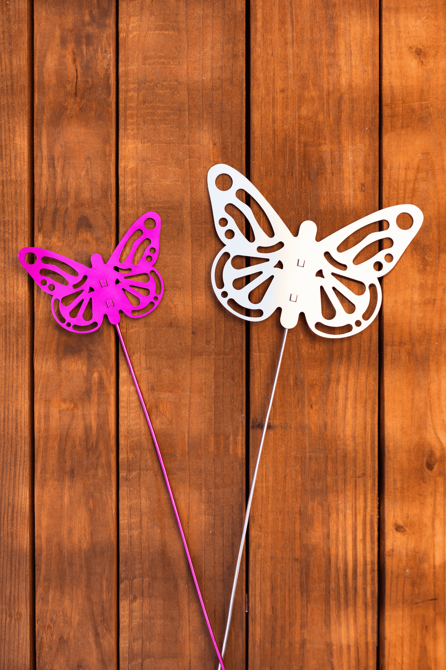 Bubba the butterfly